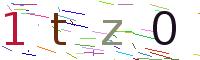 Verify Code