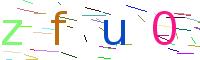 Verify Code