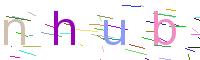 Verify Code