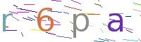 Verify Code