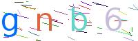 Verify Code